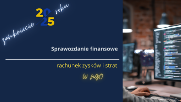 rachunnek zysków i strat w NGO