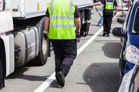   Niektóre organizacje będą mogły opiekować się zwierzętami wycofanymi ze służb mundurowych